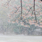 吹雪ですね