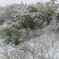 吹雪く