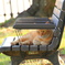 ベンチで寛ぐ外猫