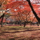 東福寺