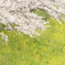 春