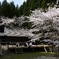 2019年 茅部神社 春の宴