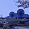白い春2