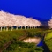 草場川の桜並木