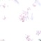 水彩の枝垂桜
