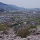 紀の川一望