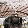 公園のD51