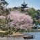 横浜三渓園 #1