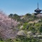 横浜三渓園 #3