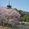 横浜三渓園 #4