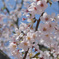DSC_8326_00001