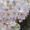 DSC_8327_00001_01