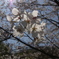 山歩き途中