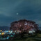 上の平の一本桜の夜景