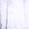 photo_947452