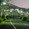 夜桜ロード