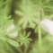 ちる
