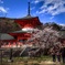 春を求めて