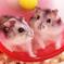 love mouse