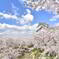 津山城