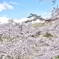 津山城