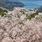 伯方島開山からの大三島橋