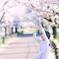 春を覗く