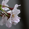 D7K_4649R