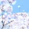 輝く時