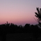 DSCN7584