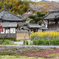 飛鳥寺