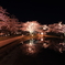 夜桜