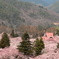 高遠城址公園