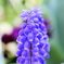 D7K_5115R