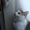 IMG20181102175849