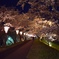 夜桜