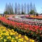 2年前のあけぼの山農業公園