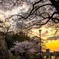 夕日を見ながら