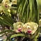 ご近所の植物園