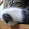 elbow