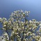 42370104-DE20-4231-A77F-AC4AF67554DB