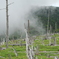 夏の大台ケ原