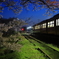 桜の志和地駅３