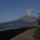 SAKURAJIMA