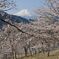 平日の富士山1093