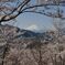 平日の富士山1094