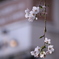 自由が丘の桜2020
