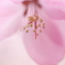 淡彩。