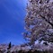 IMG_20200407_215845_103