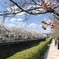 京都　岩倉にて